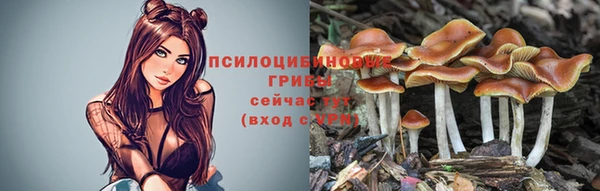 амф Армянск