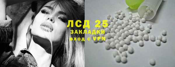 крисы Аркадак