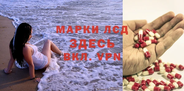 твердый Арсеньев