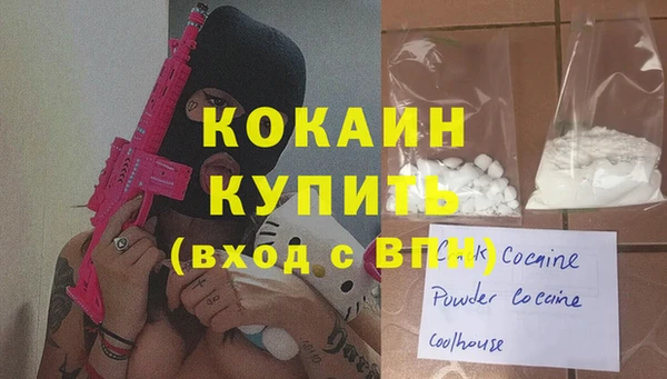 твердый Арсеньев
