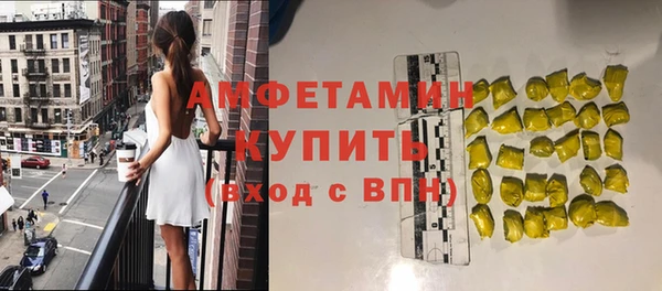 твердый Арсеньев