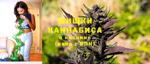 твердый Арсеньев