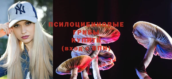 крисы Аркадак