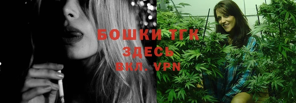 твердый Арсеньев
