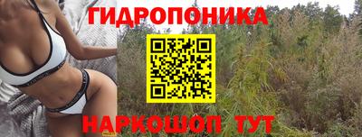 гидра Кулебаки